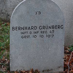 Grünberg Bernhard
