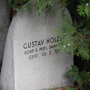 Holzer Gustav