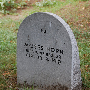 Horn Moses