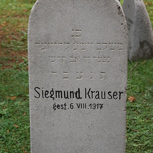 Krauser Siegmund
