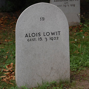 Lowit Alois