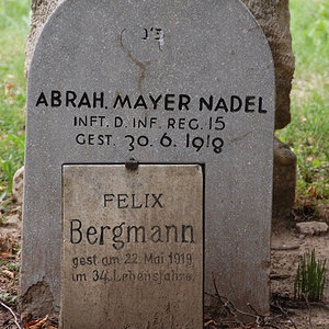 Mayer Nadel Abraham