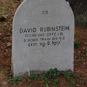 Rubinstein David