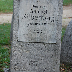 Silberberg Samuel