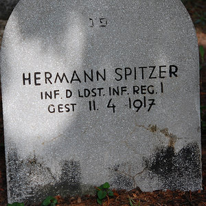 Spitzer Hermann