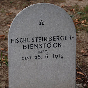 Steinberger-Bienstöck Fischl