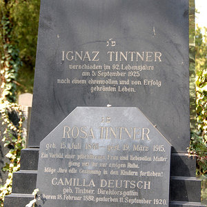 Tintner Rosa