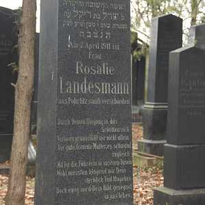 Landesmann Rosalie