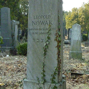 Nowak Leopold