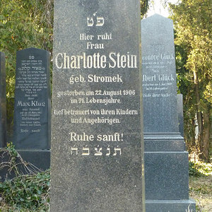 Stein Charlotte Lotti