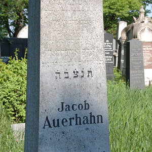 Auerhahn Jacob