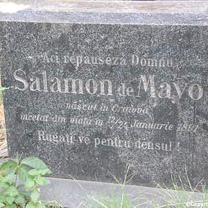 De Mayo Salamon