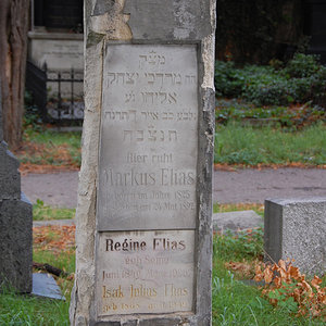 Elias Regine