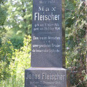 Fleischer Max
