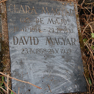 Magyar David