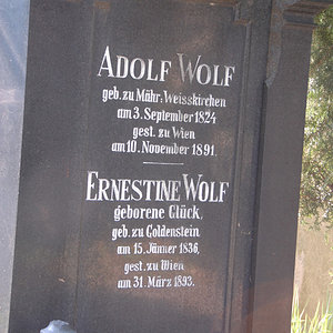 Wolf Ernestine