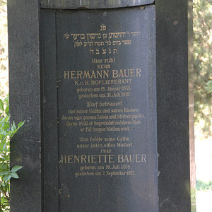 Bauer Henriette