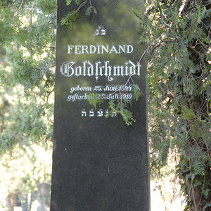 Goldschmidt Ferdinand