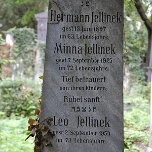 Jellinek Leo