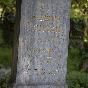 Landau Sigmund