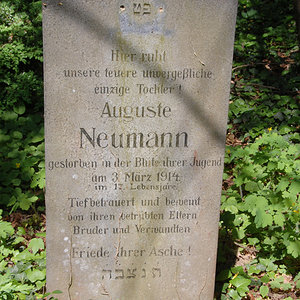 Neumann Auguste