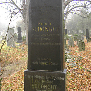 Schöngut Enoch