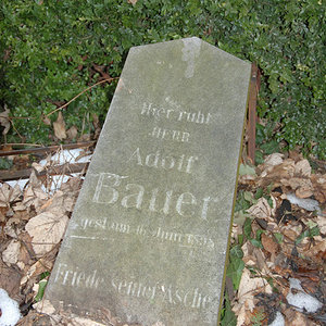 Bauer Adolf