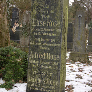 Rose Elise