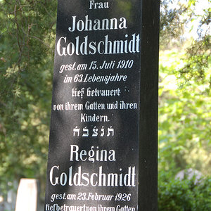 Goldschmidt Johanna