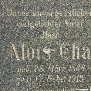 Chat Alois