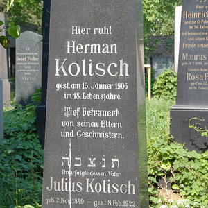 Kolisch Julius