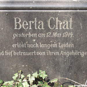 Chat Berta