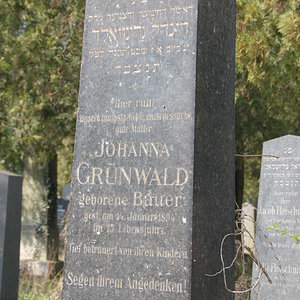 Grünwald Johanna
