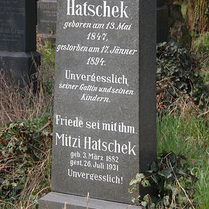 Hatschek Theodor
