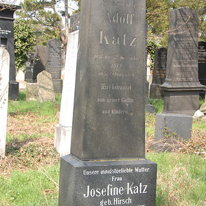 Katz Josefine