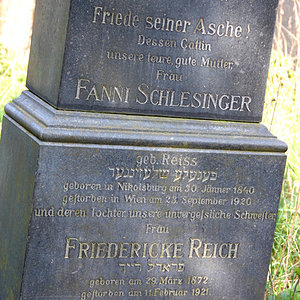 Schlesinger Fanni