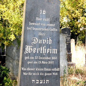 Wertheim David