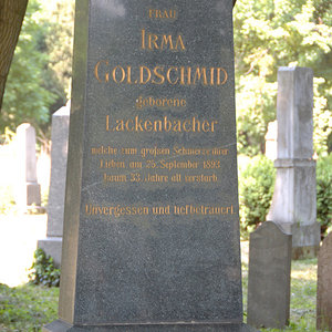 Goldschmid Louis E.