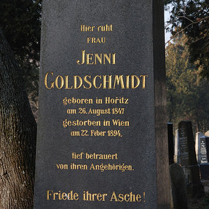 Goldschmidt Jenni
