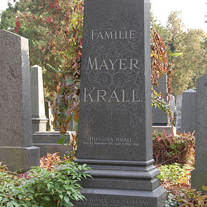 Krall Mayer