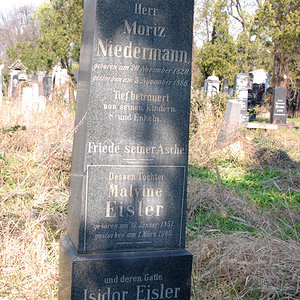Niedermann Moriz