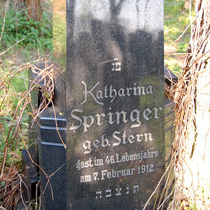 Springer Katharina