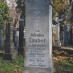 Tauber Johanna