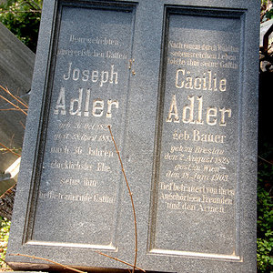 Adler Josef