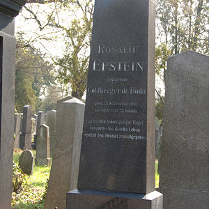 Epstein Rosalie