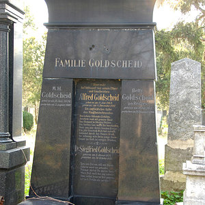 Goldscheid Moses H.