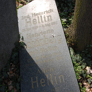 Hellin Heinrich Ing.