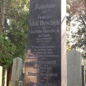 Hirschfeld Adolf