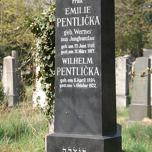Pentlicka Wilhelm