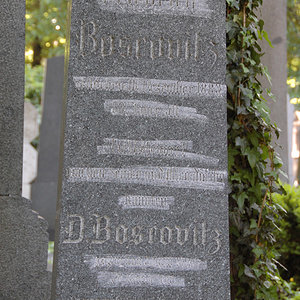 Boscovitz David